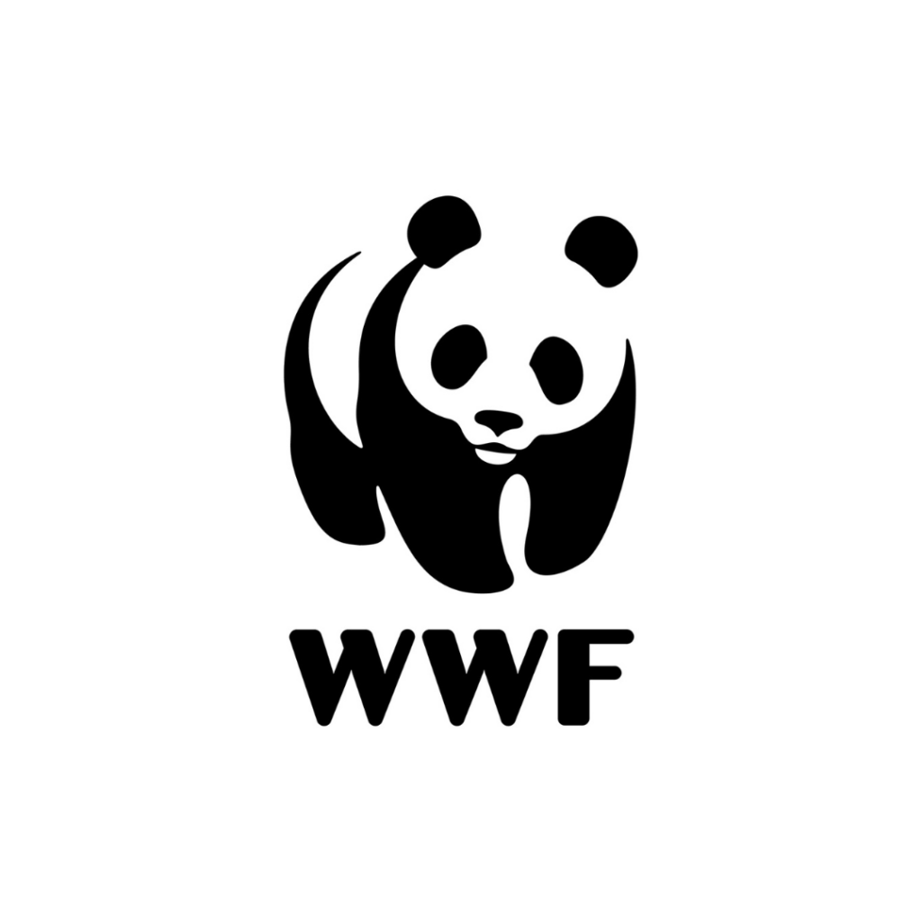 Festival of Lights 2024